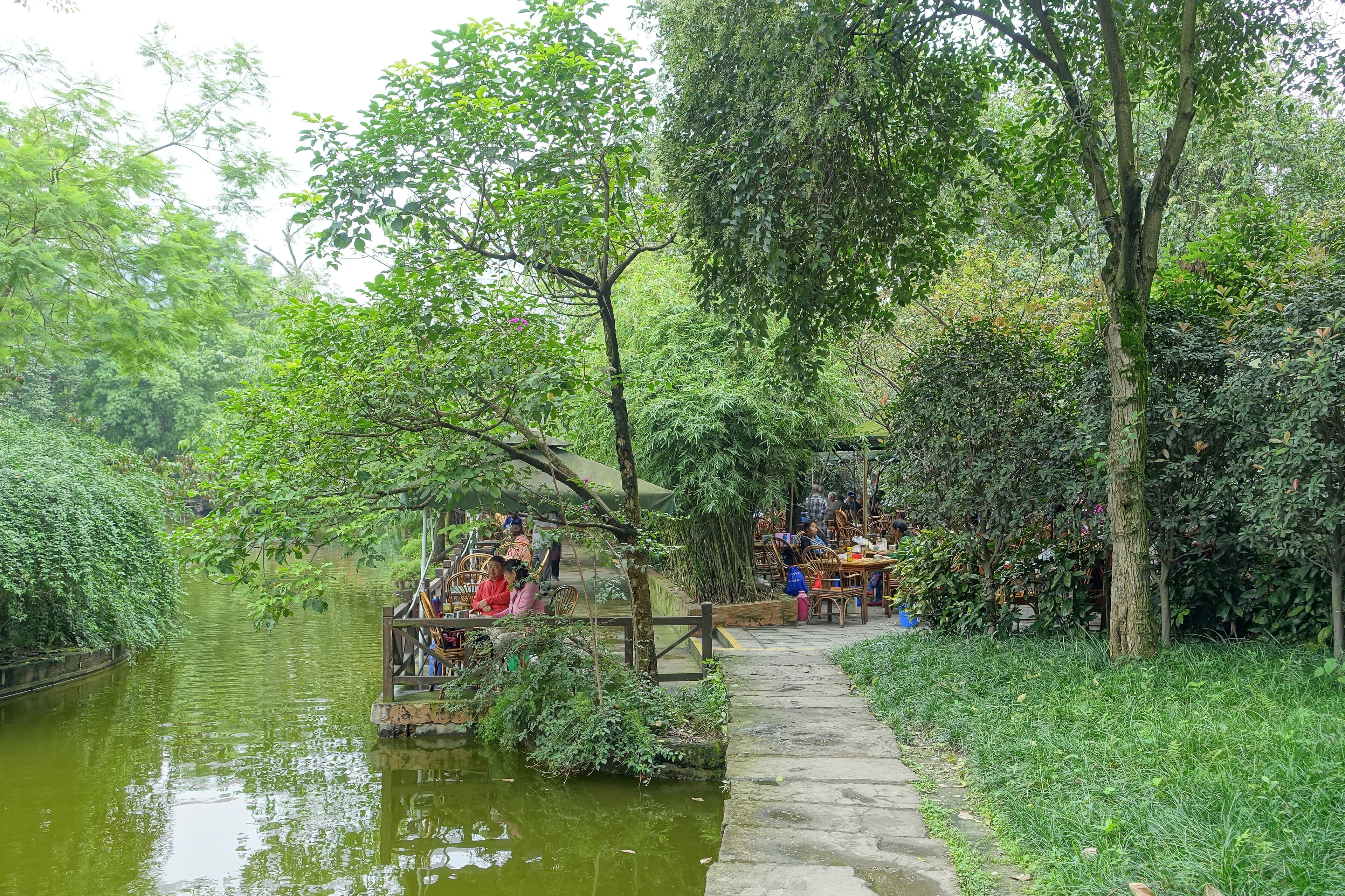A quiet waterside teahouse garden in Chengdu